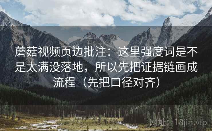 蘑菇视频页边批注：这里强度词是不是太满没落地，所以先把证据链画成流程（先把口径对齐）